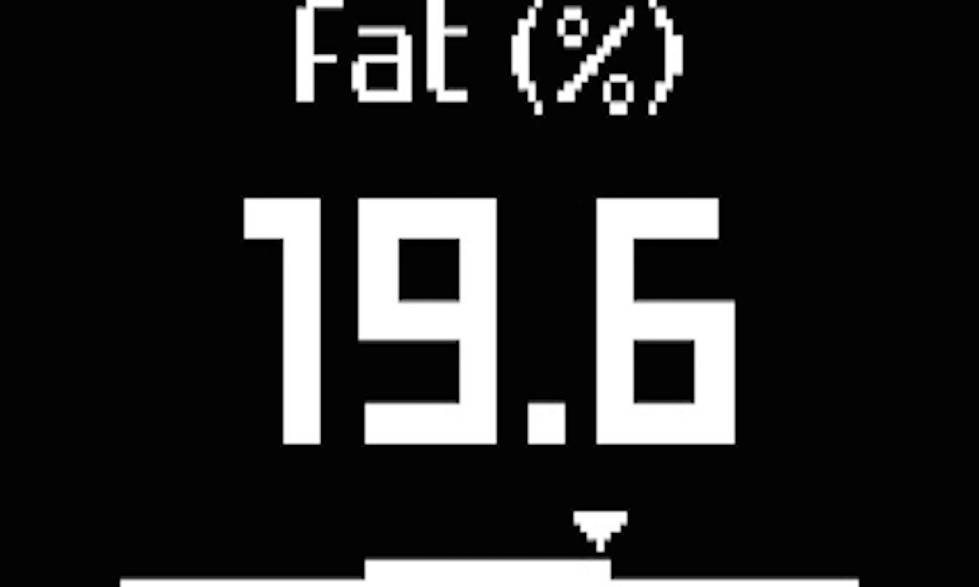 fat-mass.jpg